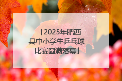 2025年肥西县中小学生乒乓球比赛圆满落幕