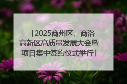 2025商州区、商洛高新区高质量发展大会暨项目集中签约仪式举行