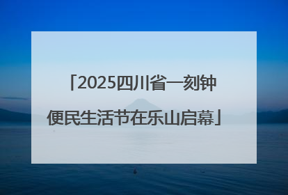 2025四川省一刻钟便民生活节在乐山启幕