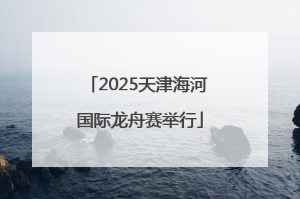 2025天津海河国际龙舟赛举行