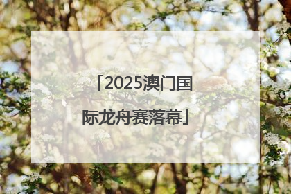 2025澳门国际龙舟赛落幕