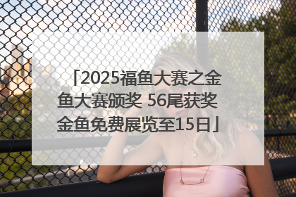 2025福鱼大赛之金鱼大赛颁奖 56尾获奖金鱼免费展览至15日