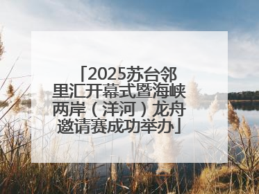 2025苏台邻里汇开幕式暨海峡两岸（洋河）龙舟邀请赛成功举办