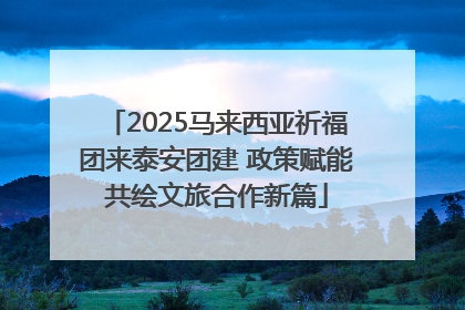 2025马来西亚祈福团来泰安团建 政策赋能共绘文旅合作新篇