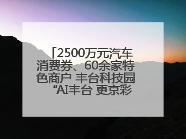 2500万元汽车消费券、60余家特色商户 丰台科技园“AI丰台 更京彩”未来玩家市集活动正式开幕