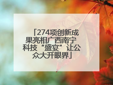 274项创新成果亮相广西南宁 科技“盛宴”让公众大开眼界