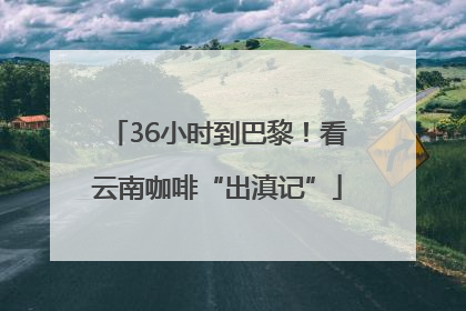 36小时到巴黎！看云南咖啡“出滇记”