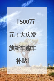500万元！大庆发放新车购车补贴