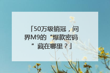 50万级销冠，问界M9的“爆款密码”藏在哪里？
