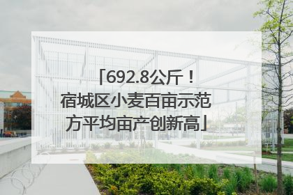 692.8公斤！宿城区小麦百亩示范方平均亩产创新高