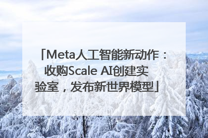 Meta人工智能新动作：收购Scale AI创建实验室，发布新世界模型