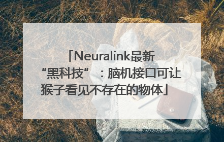 Neuralink最新“黑科技”：脑机接口可让猴子看见不存在的物体