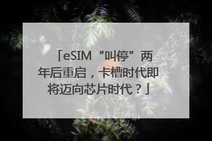 eSIM“叫停”两年后重启，卡槽时代即将迈向芯片时代？